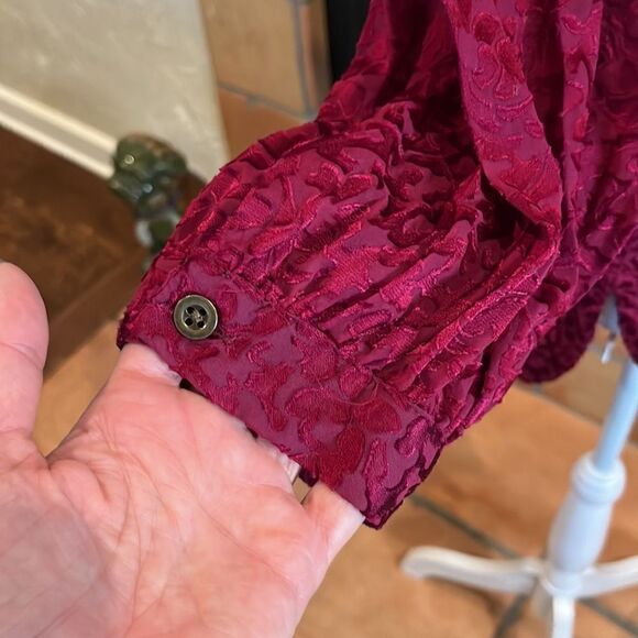 Anthropologie Susanna Burnout Velvet Buttondown, MP! - Picture 5 of 10